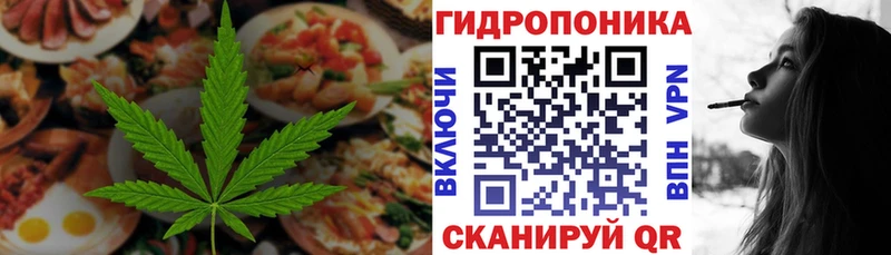 Купить  Беслан  Canna-Cookies конопля 